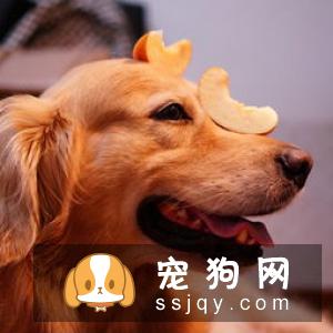 谷物中过多碳水化合物(纤维)的作用