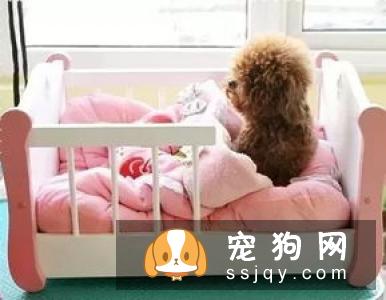 常见的生殖系统疾病都有哪些