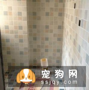 无谷宠物食品常见的三大误区