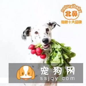 犬的泌尿系统包括肾脏、输尿管、膀胱及尿道