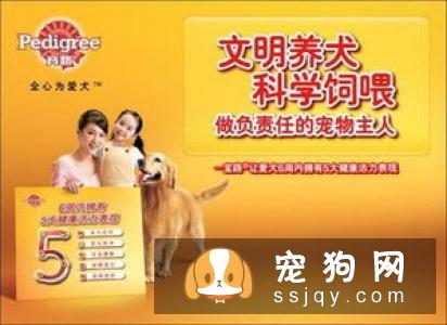 狗粮应该如何喂？教你正确科学喂养狗粮