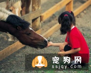 有宝宝的家庭可不可以饲养宠物？