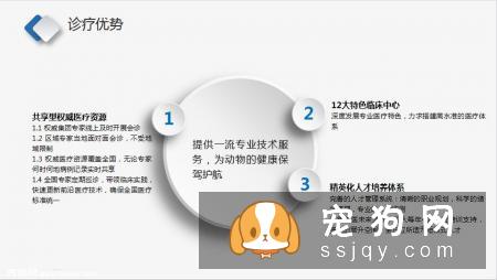 你会因为有麻醉风险而不给宠物做绝育手术吗？
