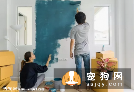 家具装潢对宠物身体有害吗？