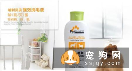 宠物滴耳液的正确使用方法