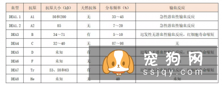狗狗血型有哪些，狗狗输血要注意什么