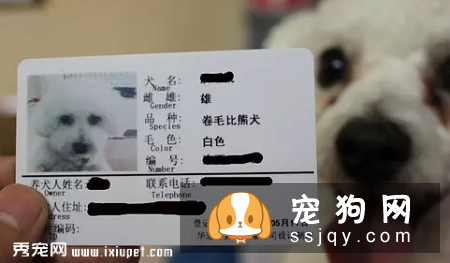 防狗走丢：帮狗狗佩戴宠物防走丢狗牌和掌握这几个应急方法