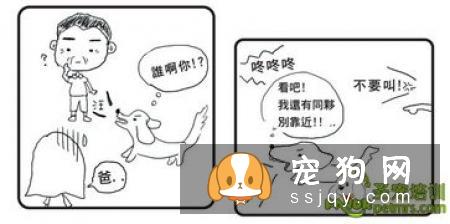 如何纠正狗狗乱吠叫