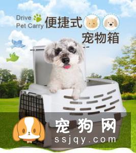 让狗狗适应航空箱有很多好处