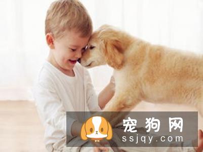 如何判断体外寄生虫?-家居装修问答