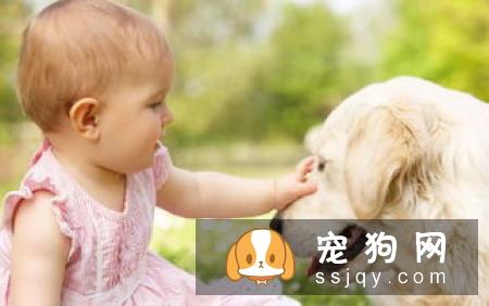 孕妇和婴幼儿能与宠物共同生活吗?
