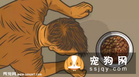 狗狗吃食时，不让任何人靠近该怎么办