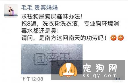 美国Urine off解尿素能有效降低犬钩端螺旋体病毒??
