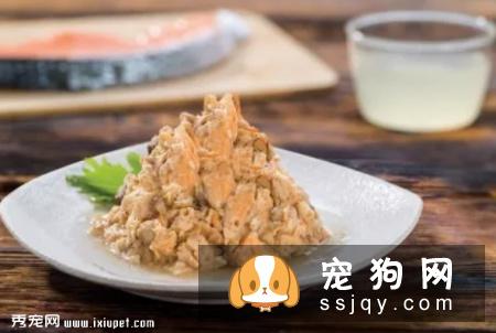 宠物这几个常见病，你知道如何预防吗?