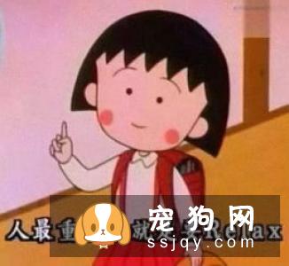 减肥很辛苦，我们可以选择多遛狗