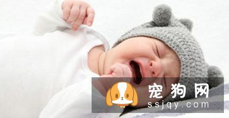 狗狗感冒病,防患于未然!