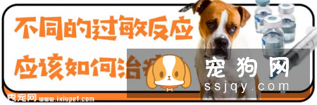 狗狗注射疫苗后，昏迷不醒！