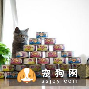 如何为犬猫挑选宠物罐头?