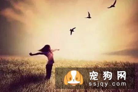 这九句话也许让你对宠物美容有更深刻的理解