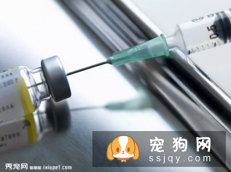 关于宠物疫苗的基本常识 你需要知道