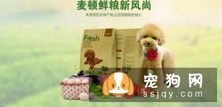 狗粮应该如何喂？教你正确科学喂养狗粮