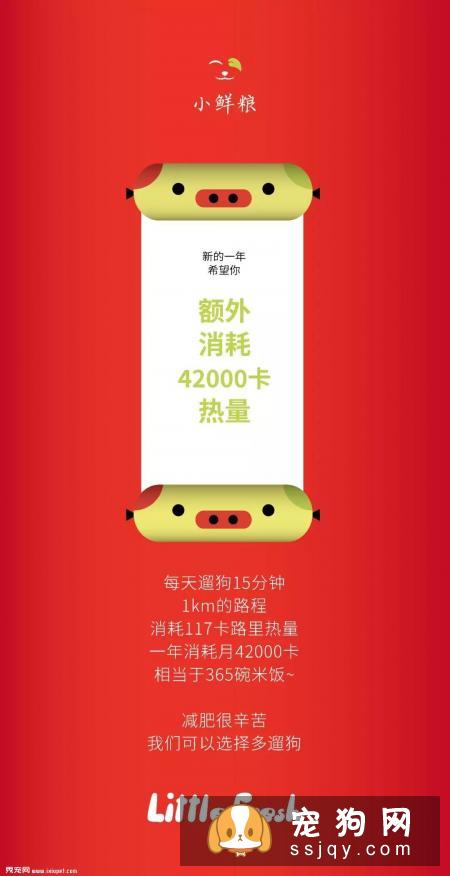 减肥很辛苦，我们可以选择多遛狗
