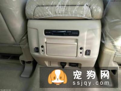 带上宠物长途旅行，宠物急救箱不能少