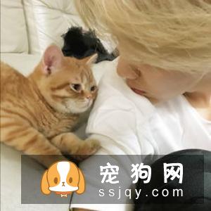 专业宠物SPA，远不止是“泡澡、按摩”那么简单