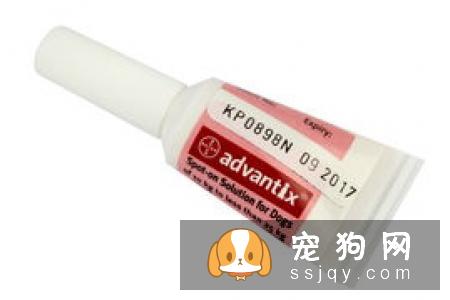 狗狗体外驱虫滴剂使用方法和注意事项