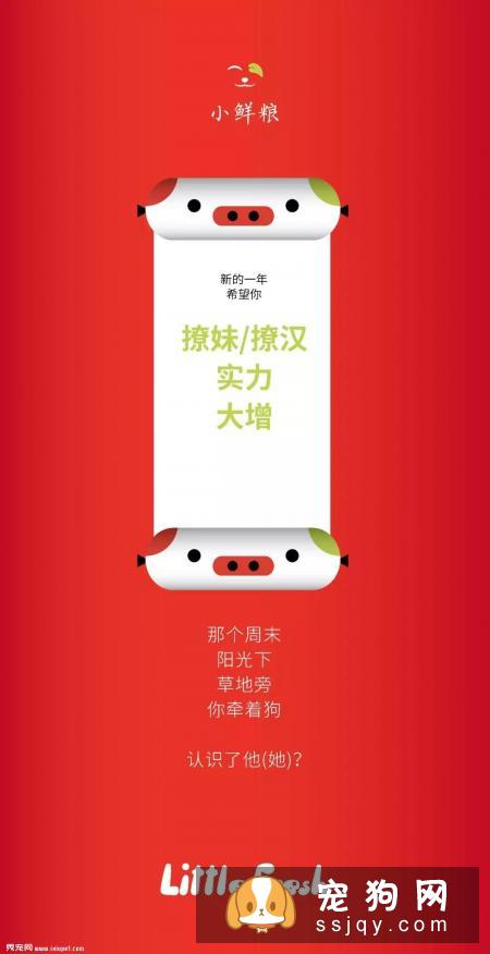 减肥很辛苦，我们可以选择多遛狗