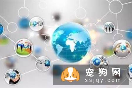 这九句话也许让你对宠物美容有更深刻的理解