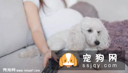 孕妇和婴幼儿能与宠物共同生活吗?