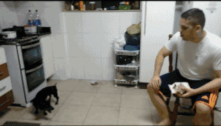 狗子乖乖吃药这件事,貌似只发生在它少不更事的时候,还会花样拒绝你
