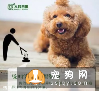 出台养狗规定，助力文明养犬