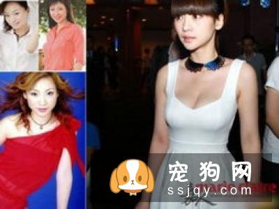 夏天遛狗如何预防它们的小jio不被烫伤