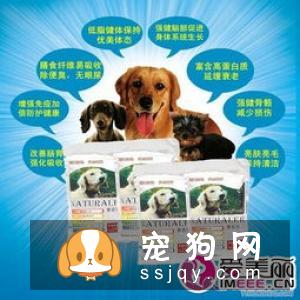 小狗多大可以吃狗粮，小狗吃什么狗粮好？