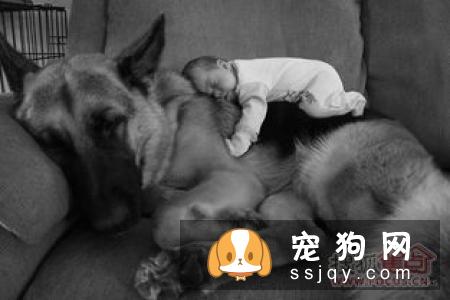 除了带毛孩到宠物医院或诊所定期检查外,主人在日常生活中应当多留意毛孩的身体状