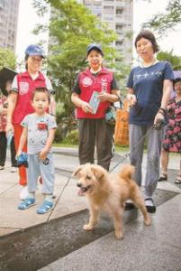 出台养狗规定，助力文明养犬