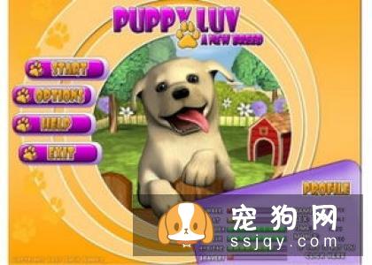 散步时宠物狗喜欢乱跑怎么办?