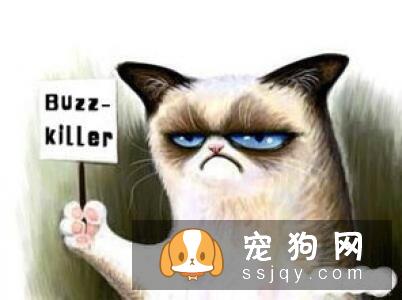 如何训练狗狗拒绝陌生人投食