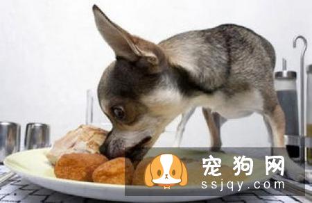 狗狗不能吃猪肉？这个说法是错误的！