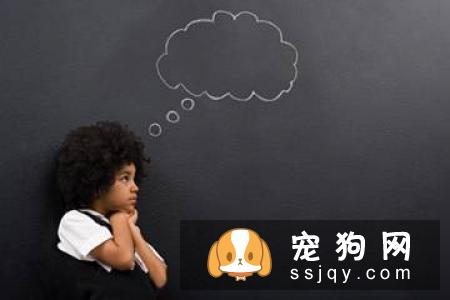 这九句话也许让你对宠物美容有更深刻的理解
