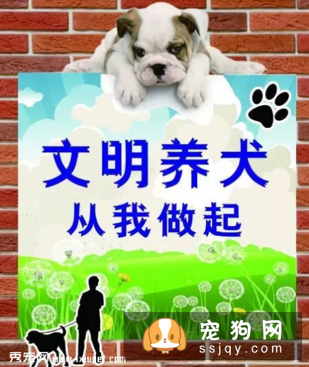 出台养狗规定，助力文明养犬