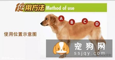 关于狗狗驱虫：闷热潮湿的8月份，是什么1变100？