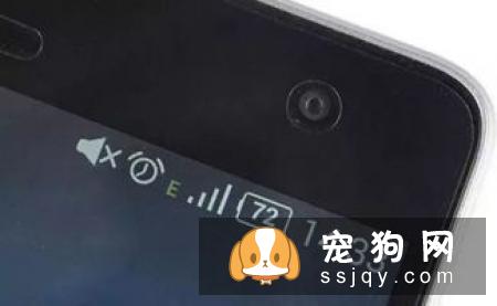 狗狗也会疲劳，这些信号释放的意思你知道几个？