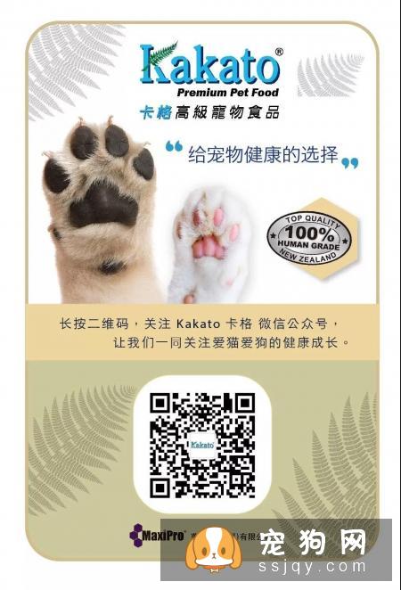宠物罐头能否长期食用？