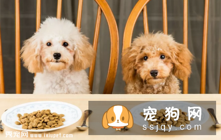 是什么原因导致狗狗胰腺外分泌不足？