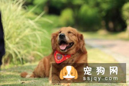 什么营养元素对毛发好日常生活中容易出现营养摄入不均衡