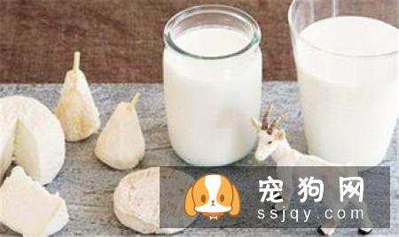 小狗多大可以吃狗粮，小狗吃什么狗粮好？
