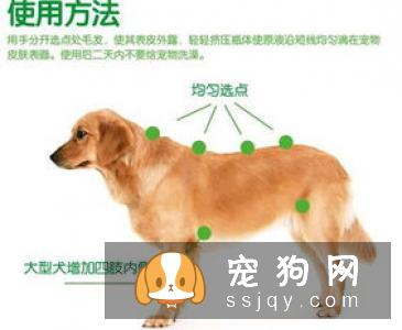 狗狗体外驱虫喷剂的使用方法及注意事项